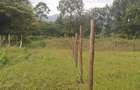 500 m² Residential Land in Ngong - 6