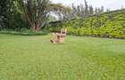 4 Bed House with En Suite at Off Ruaka Rd - 3