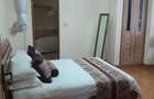 Furnished 2 Bed Apartment with En Suite in Nyari - 7