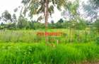 0.5 ha Commercial Land at Ondiri - 3
