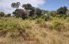 1.00 ac Residential Land at Diani Beach Road - 2