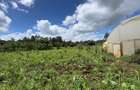 0.5 ac Residential Land in Karen - 6