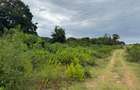 10 ac Land in Vipingo - 6