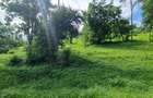 2.5 ac Land at Mtwapa Creekside - 19