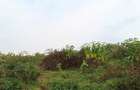 1 ac Residential Land at Riara Ridge - 4