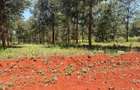 500 m² Residential Land at Ruiru-Githunguri Road - 14