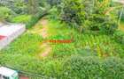 0.1 ha Residential Land at Mai-Ii-Hii - 2
