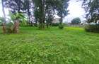 0.8 ac Land at Mumbi Road - 4