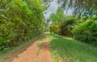 1 ac Land at Ushirika Road - 4