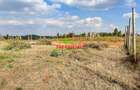 0.125 ac Residential Land at Lusigetti - 7