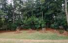 0.5 ac Residential Land at Behind Dp'S Official Residence - 4