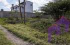 505 m² Residential Land at Muthaura Road - Rimpa - 7