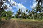 6 ac Land at Bomani - 4