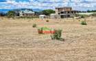 0.05 ha Residential Land in Naivasha - 1