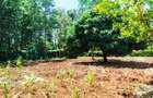 Land in Kiambu Road - 5