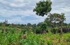 2 ac Land at Mtwapa - 10