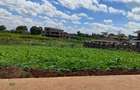 Residential Land at Kijani Ridge - 19