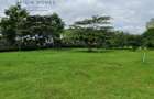 0.25 ac Land at Ngong Town - 4