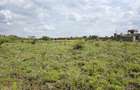 0.125 ac Land at Sakuda - 6