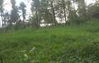 Land at Kibiko Ngong - 10