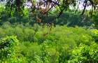 Land in Kilifi County - 14
