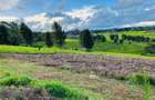 40 ac Land in Limuru - 7
