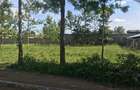 10,000 ft² Land at Kenol Town Front Row - 7