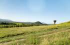 0.125 ac Residential Land in Naivasha - 3