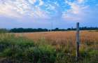 10 ac Land at Mweiga - 15