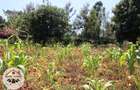 700 m² Residential Land at Kamuita Area - 11