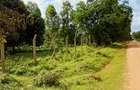 Land at Mtwapa - 12