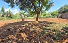 Residential Land at Flem Tree - 10