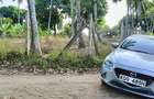 15 ac Land at Bomani - 2