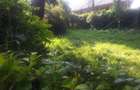 1.2 ac Land in Ngong - 13