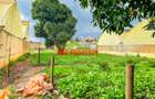 0.05 ha Residential Land at Ondiri - 4