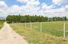 Land at Moi South Lake Road - 5
