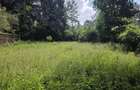 Residential Land in Kitisuru - 4