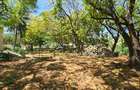 1 ac Land at Hemingways - 15
