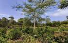 Residential Land at Galu - 1