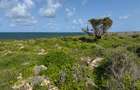 Land in Watamu - 1