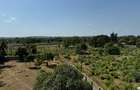 Land in Vipingo - 4