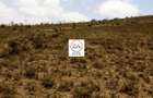 57 ac Land at Edana Road - 3