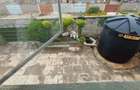 4 Bed House with En Suite at Langata Road - 7