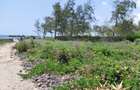 4 Bed House with En Suite in Watamu - 5