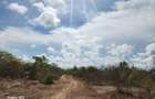 0.045 ha Land at Casuarina-Jacaranda-Watamu Road - 10
