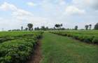 Commercial Land at Kiambu Road - 5