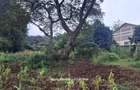 Commercial Land in Ngong - 7