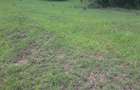 2 ac Land in Ongata Rongai - 13