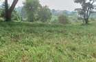 0.5 ac Land in Runda - 10