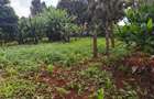 Land at Runda - 3